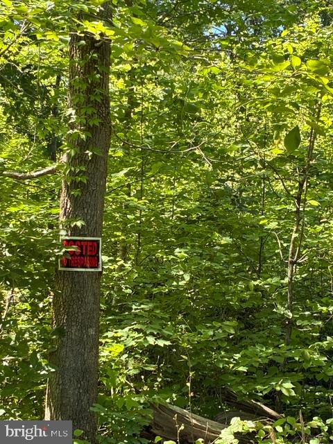 Lot 27-66b Kovi Ridge Trail Reva, VA 22735 - Photo 5 of 20