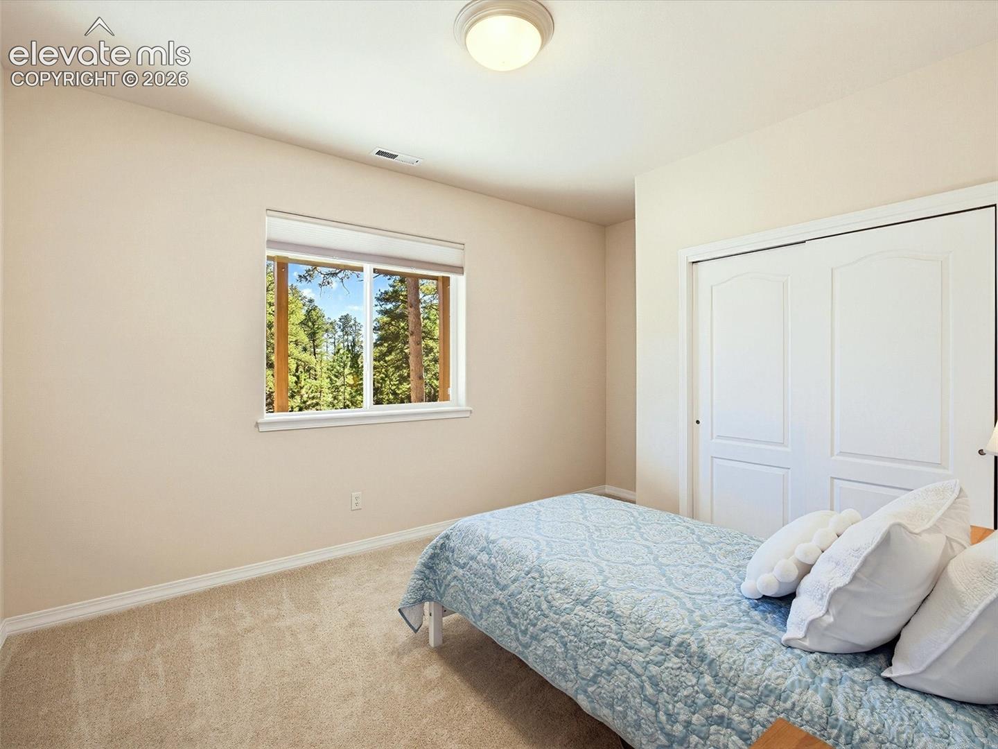 18065 Cumbres Road Peyton, CO 80831 - Photo 38 of 48 4th bedroom is also on lower level