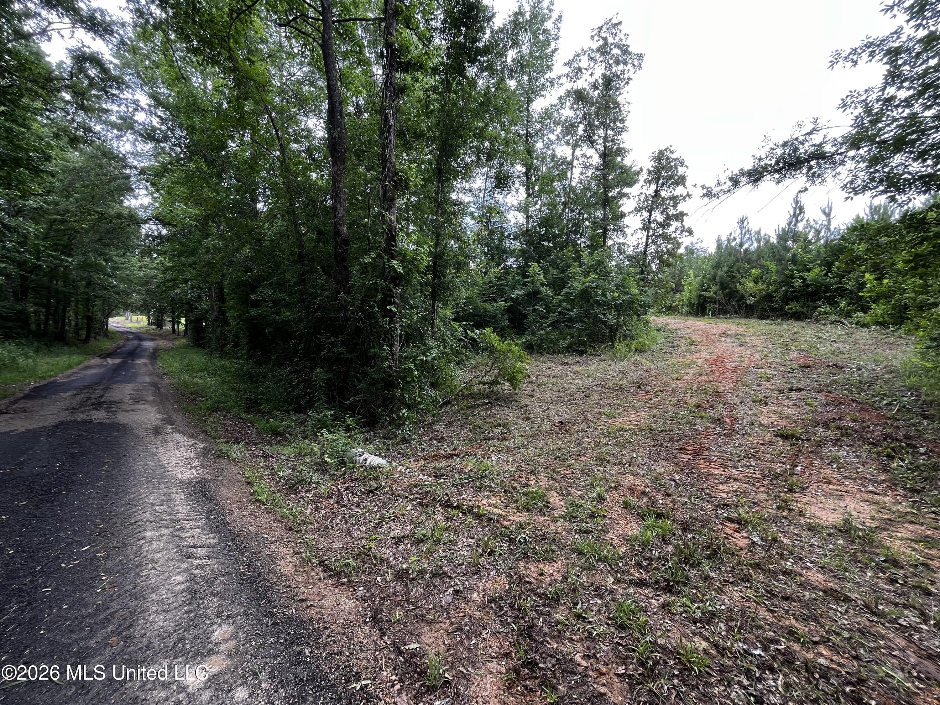 Cline Road Wesson, MS 39191 - Photo 14 of 16 IMG_1145