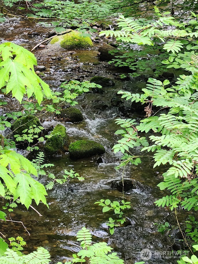 7882 Silver Lake Road Maple Falls, WA 98266 - Photo 15 of 22
