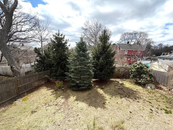 a view of a yard with large trees