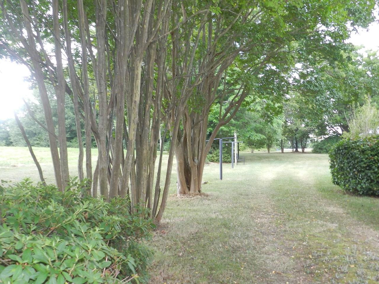 319 Filter Plant Road Gaffney, SC 29340 - Photo 11 of 25 Gallery Image 11