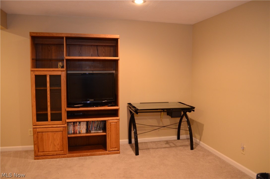 8605 Cleveland Road Creston, OH 44217 - Photo 19 of 24
