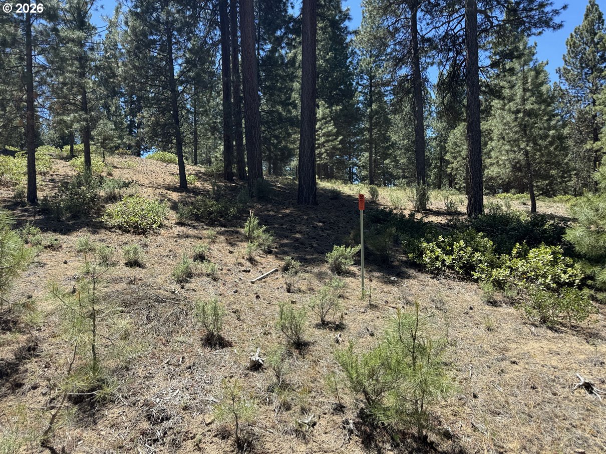 Incline Drive, Unit 22 Chiloquin, OR 97624 - Photo 6 of 19