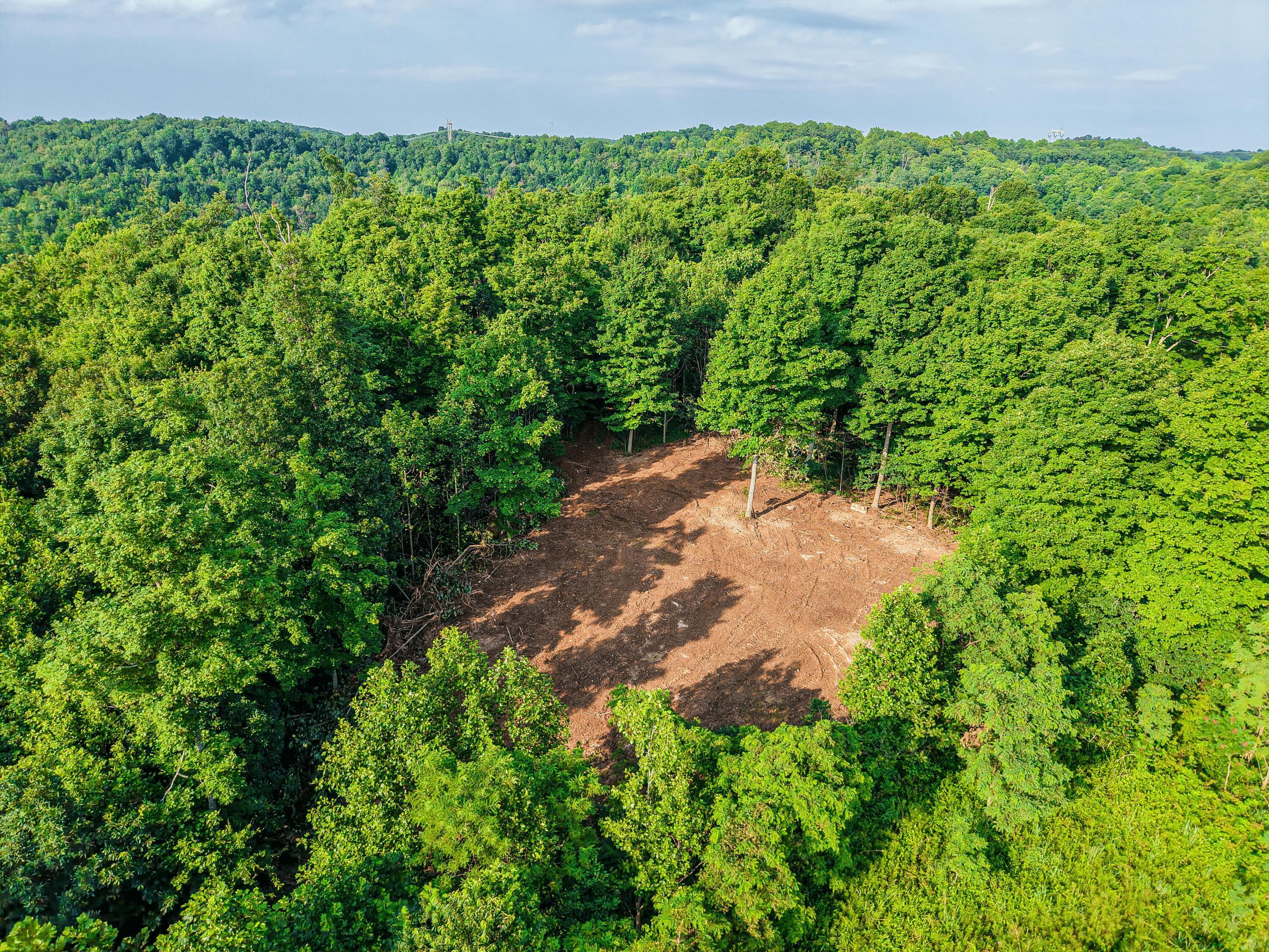 0 Millers Run-Back Run Road Lucasville, OH 45648 - Photo 11 of 24 11 - Upper Food Plot
