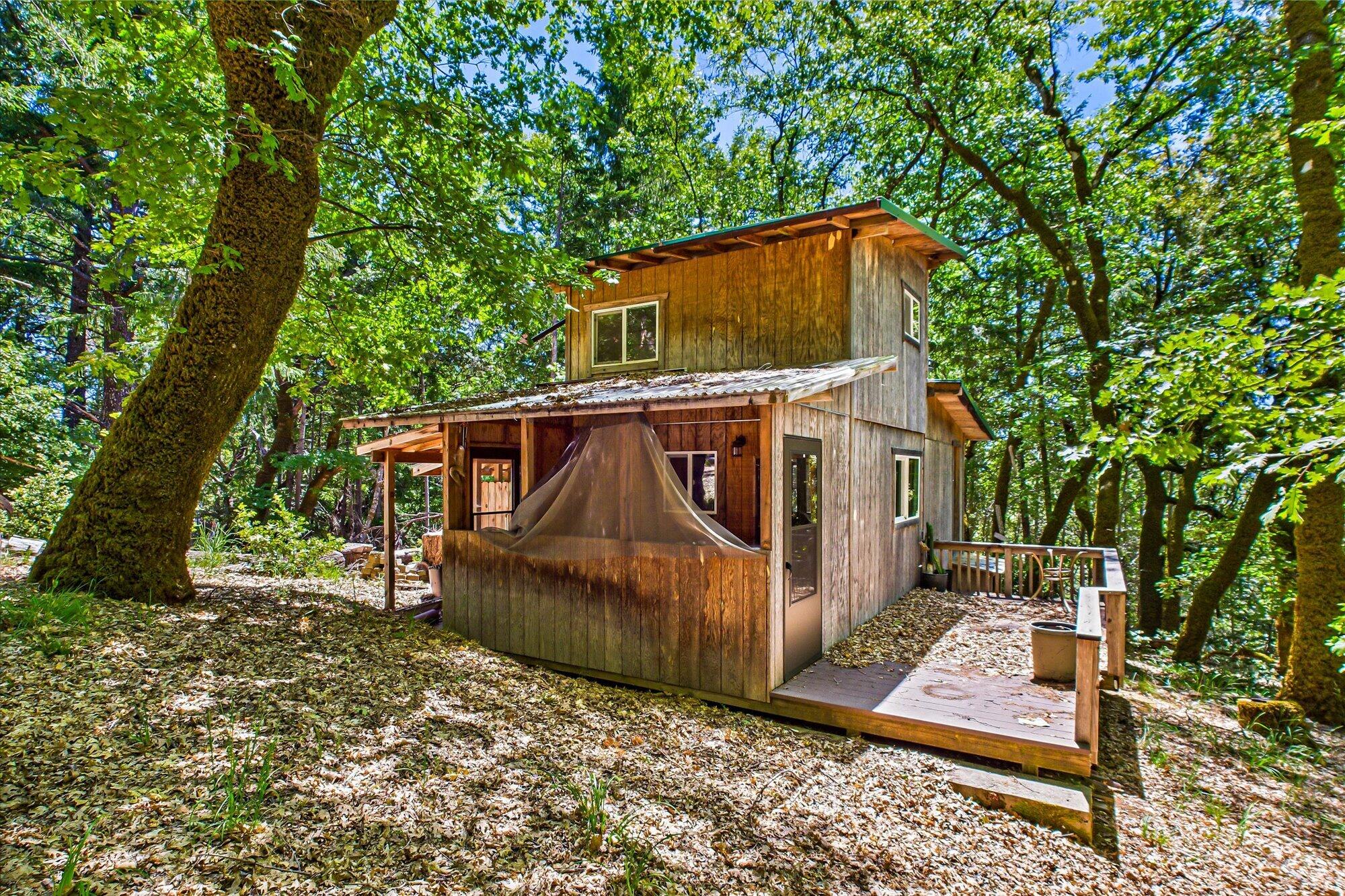 7222 Doody Ridge Road Garberville, CA 95542 - Photo 56 of 73 61-7222 Doody Ridge-159