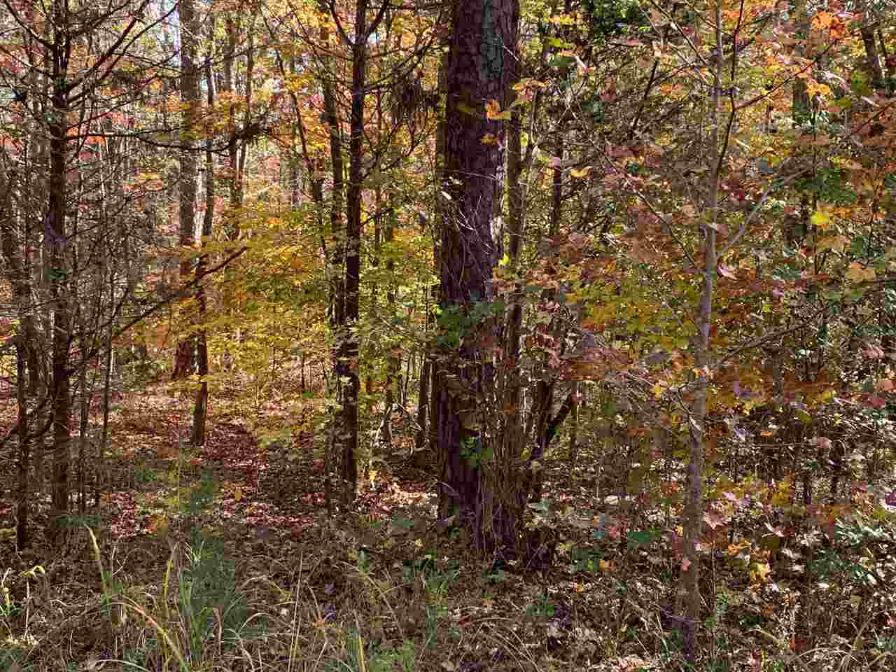 22A Great Mdws Road Gaffney, SC 29340 - Photo 2 of 9 Gallery Image 2