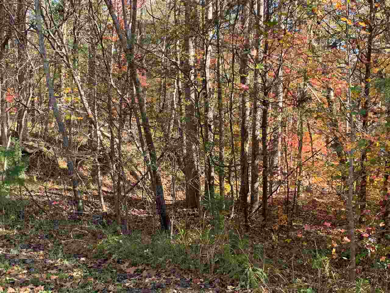 22A Great Mdws Road Gaffney, SC 29340 - Photo 3 of 9 Gallery Image 3