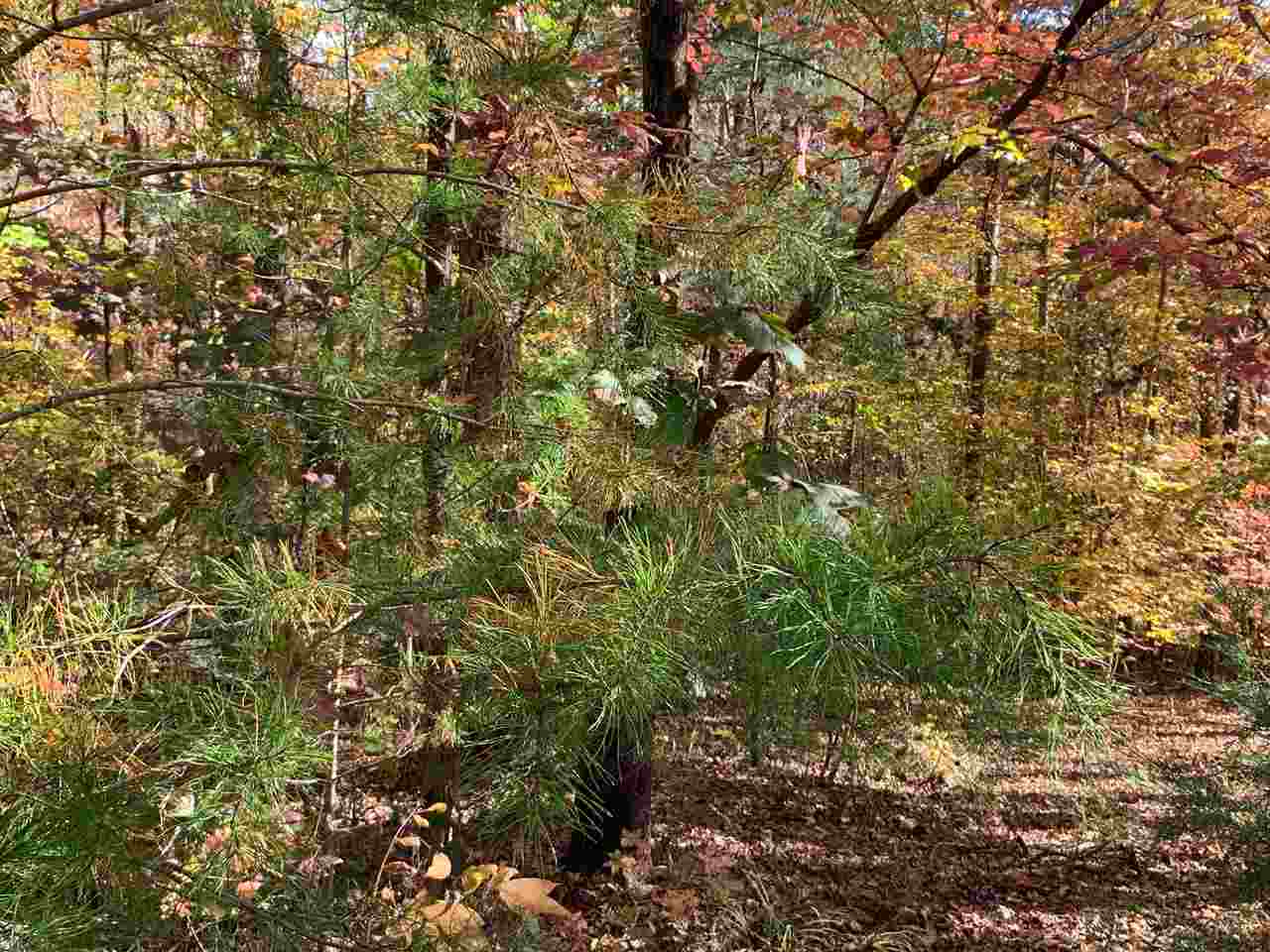 22A Great Mdws Road Gaffney, SC 29340 - Photo 6 of 9 Gallery Image 6