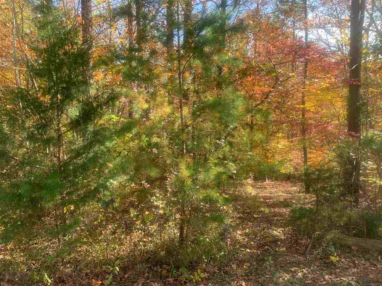 22A Great Mdws Road Gaffney, SC 29340 - Photo 7 of 9 Gallery Image 7