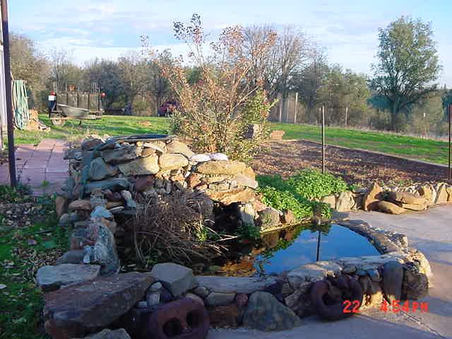 6515 Happy V Road Anderson, CA 96007 - Photo 5 of 5 Pond