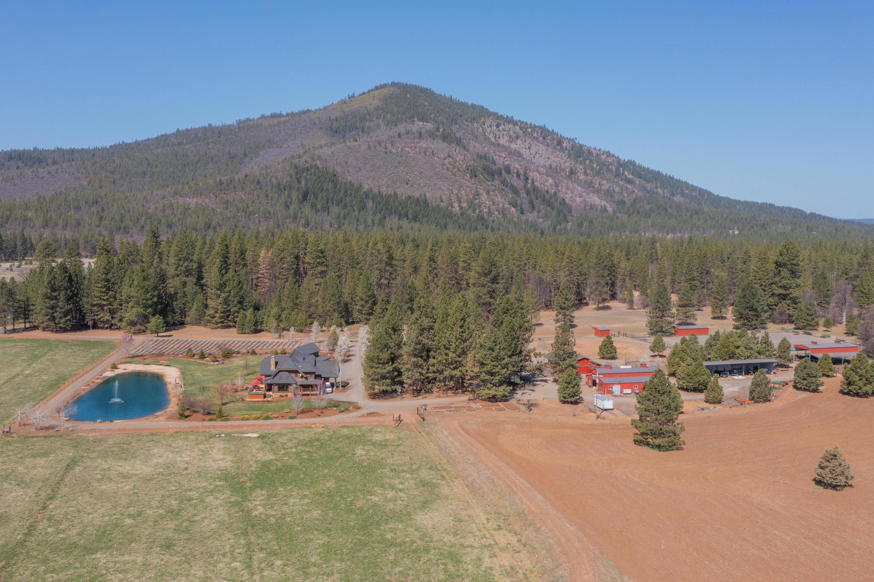 40900 Brown Road Fall River Mills, CA 96028 - Photo 4 of 72 ranch land