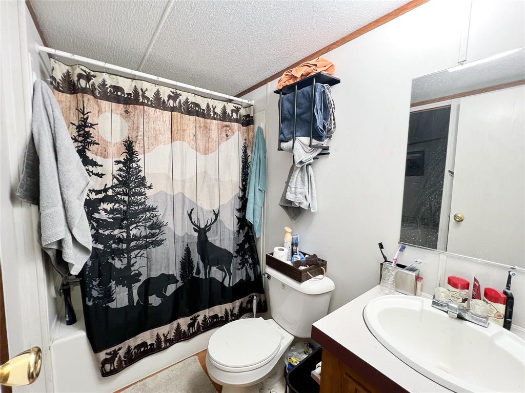 148 Rule Tx 79547 Rule, TX 79547 - Photo 13 of 39 a bathroom with a toilet sink and shower curtain