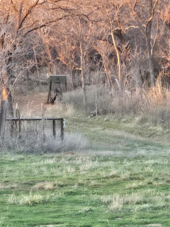 148 Rule Tx 79547 Rule, TX 79547 - Photo 32 of 39 a view of a yard