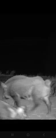 a view of a ocean beach