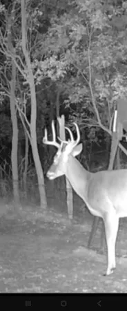 a view of a floor plan