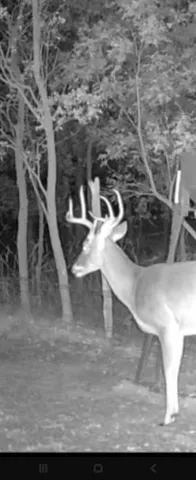 a view of a floor plan