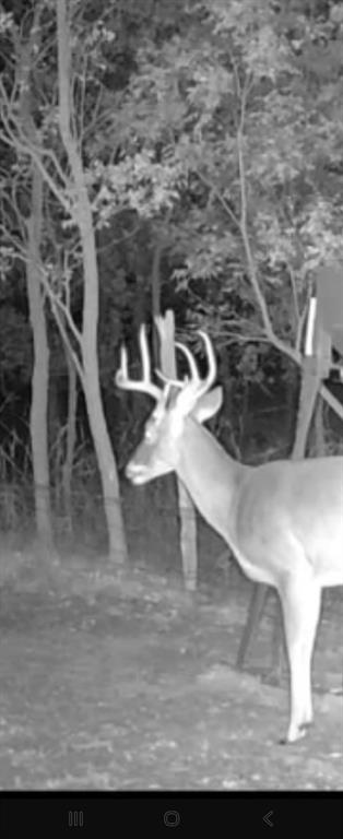 148 Rule Tx 79547 Rule, TX 79547 - Photo 34 of 39 a view of entryway