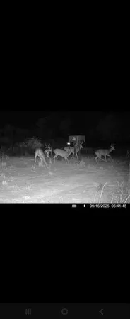 a house view with a outdoor space
