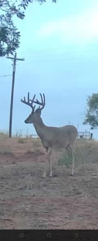 148 Rule Tx 79547 Rule, TX 79547 - Photo 36 of 39 a view of a ocean beach