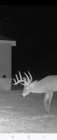 $315,000 | 148 Rule Tx 79547, Rule, TX 79547