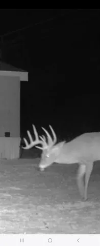 $325,000 | 148 Rule Tx 79547, Rule, TX 79547