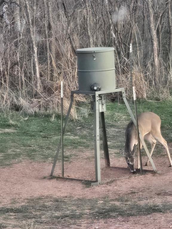 148 Rule Tx 79547 Rule, TX 79547 - Photo 38 of 39 a house view with a outdoor space