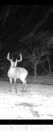 $315,000 | 148 Rule Tx 79547, Rule, TX 79547