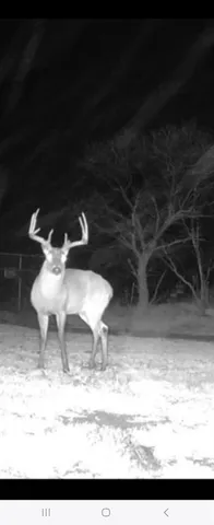 $325,000 | 148 Rule Tx 79547, Rule, TX 79547