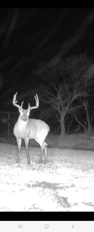 148 Rule Tx 79547 Rule, TX 79547 - Photo 39 of 39 a black and white photo of a fireplace