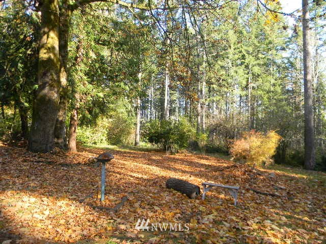 4790-4792 East Grapeview Loop Road Allyn, WA 98524 - Photo 4 of 24 Gallery Image 4
