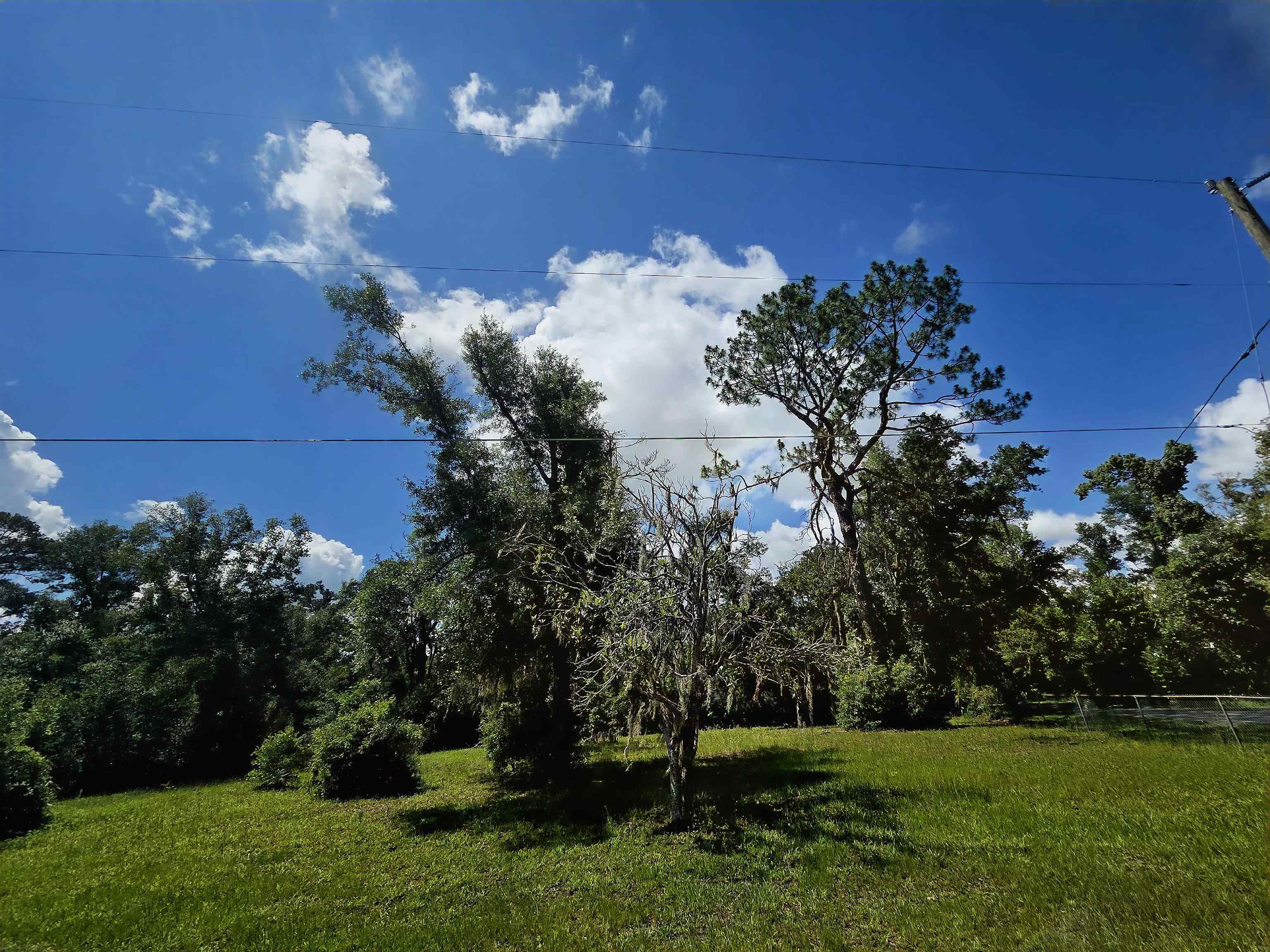 6-8 North Washington Street Perry, FL 32347 - Photo 12 of 15