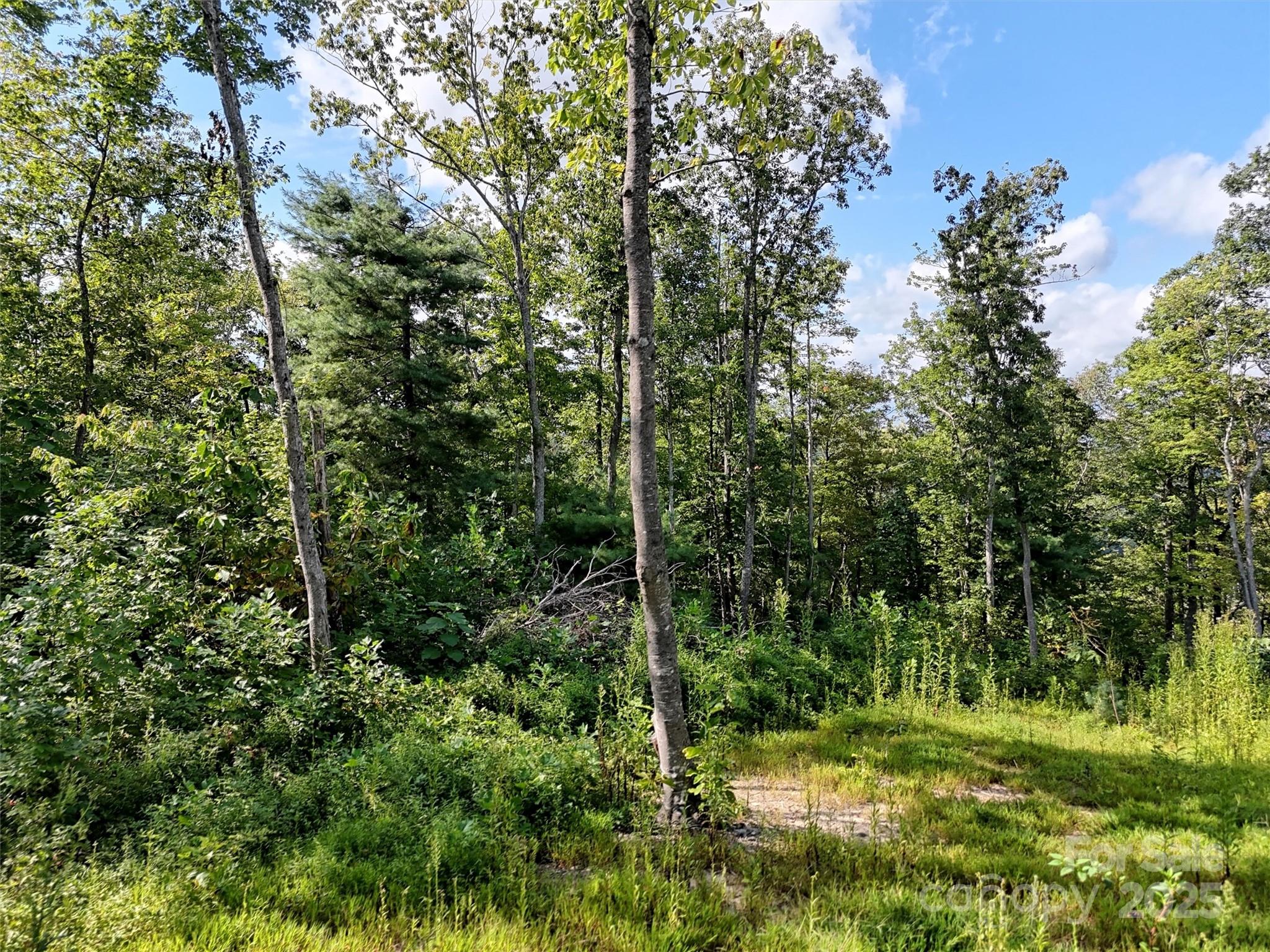 0 Bell Mountain Road Zirconia, NC 28790 - Photo 11 of 19 a view of forest