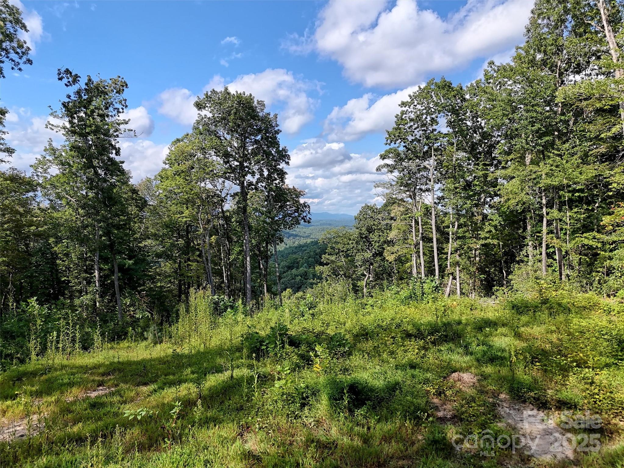 0 Bell Mountain Road Zirconia, NC 28790 - Photo 12 of 19 a view of a garden