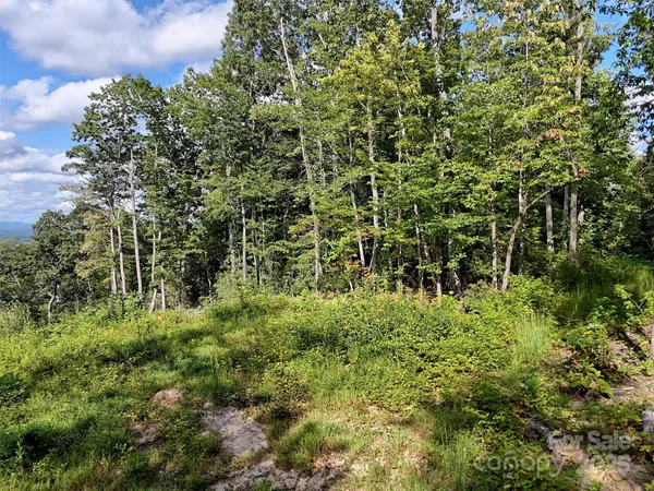 a view of a garden