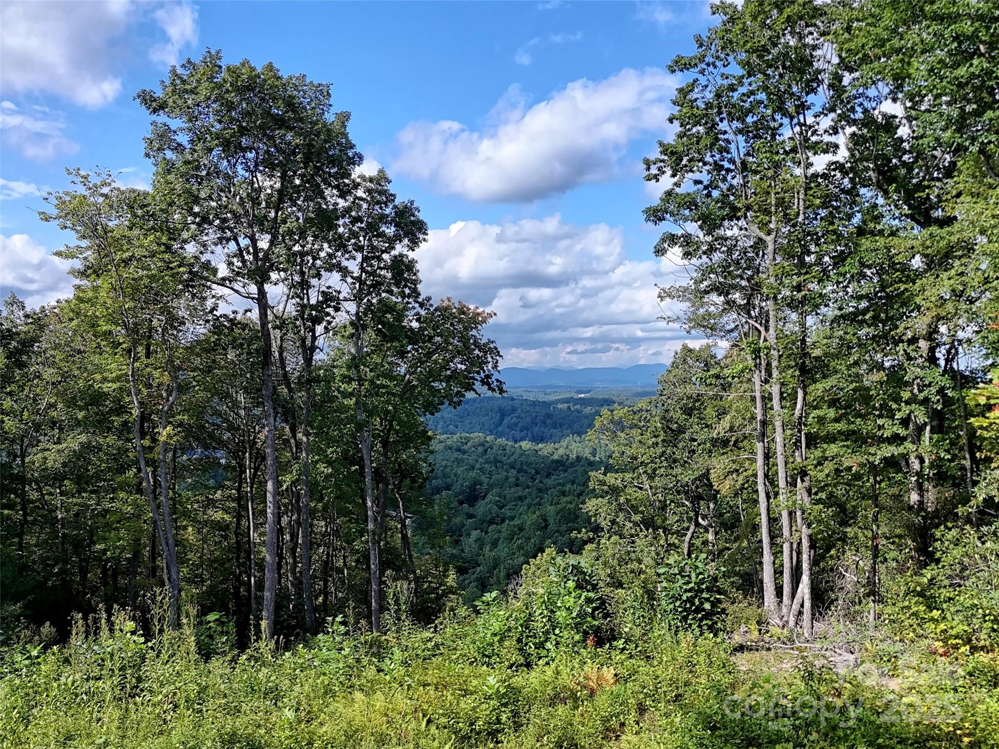 0 Bell Mountain Road Zirconia, NC 28790 - Photo 15 of 19 a view of a garden