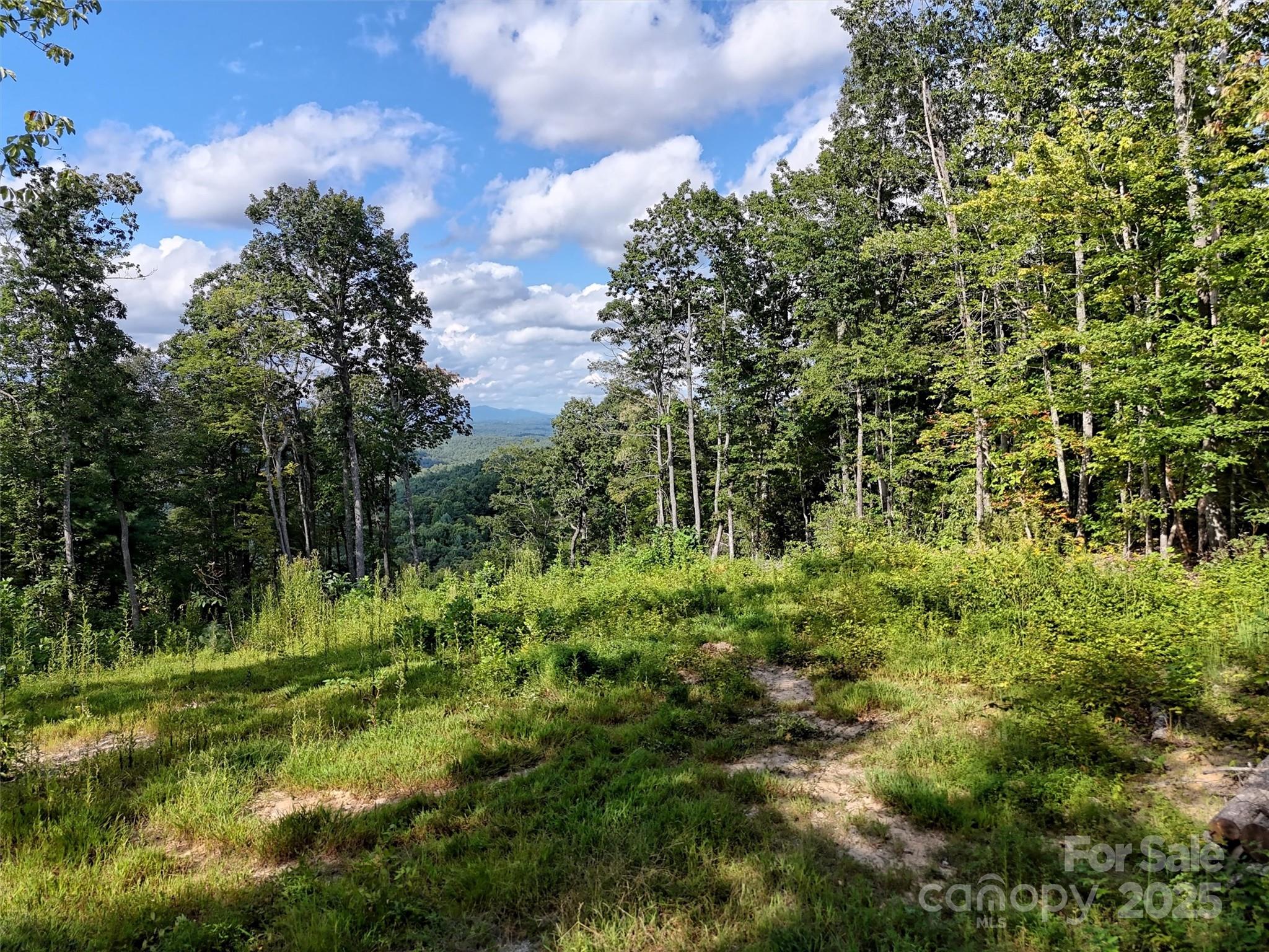 0 Bell Mountain Road Zirconia, NC 28790 - Photo 16 of 19 a view of a big yard