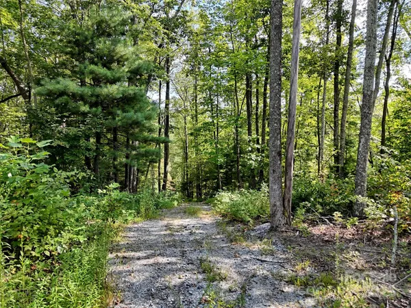 a view of a field with a forest