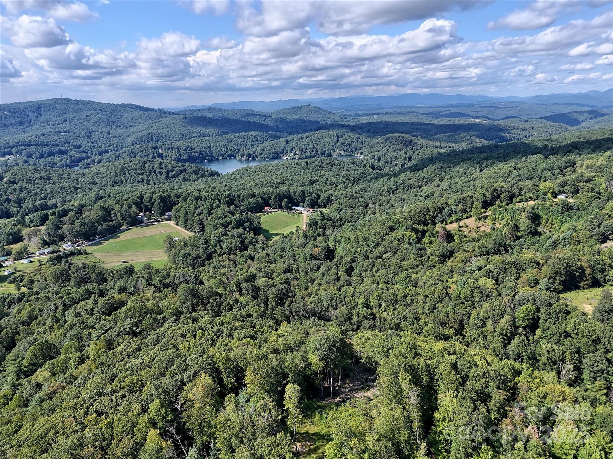 0 Bell Mountain Road Zirconia, NC 28790 - Photo 18 of 19 a view of a field with a forest