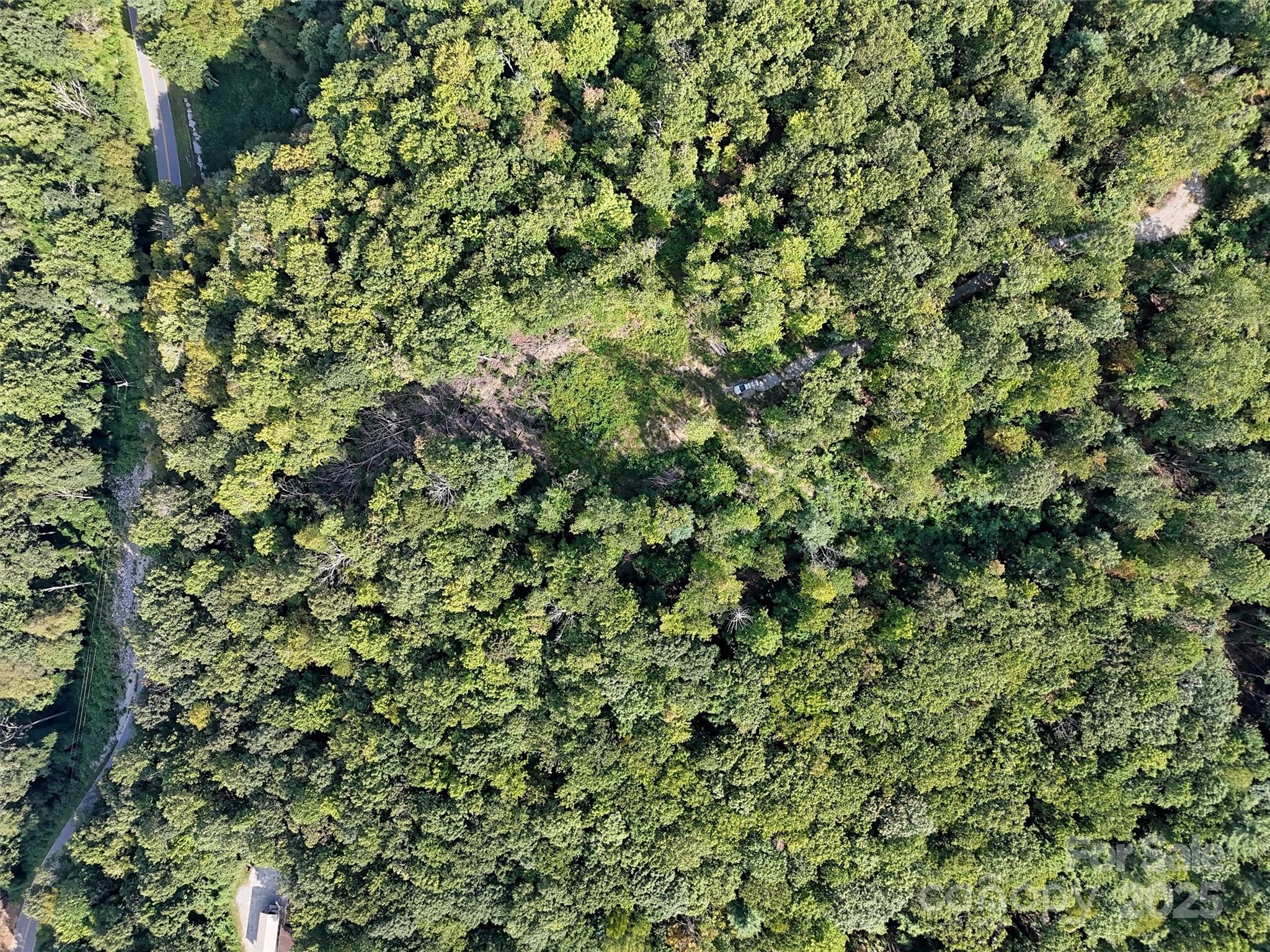 0 Bell Mountain Road Zirconia, NC 28790 - Photo 19 of 19 a view of a lush green field