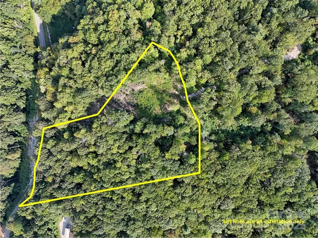 a view of a bunch of trees