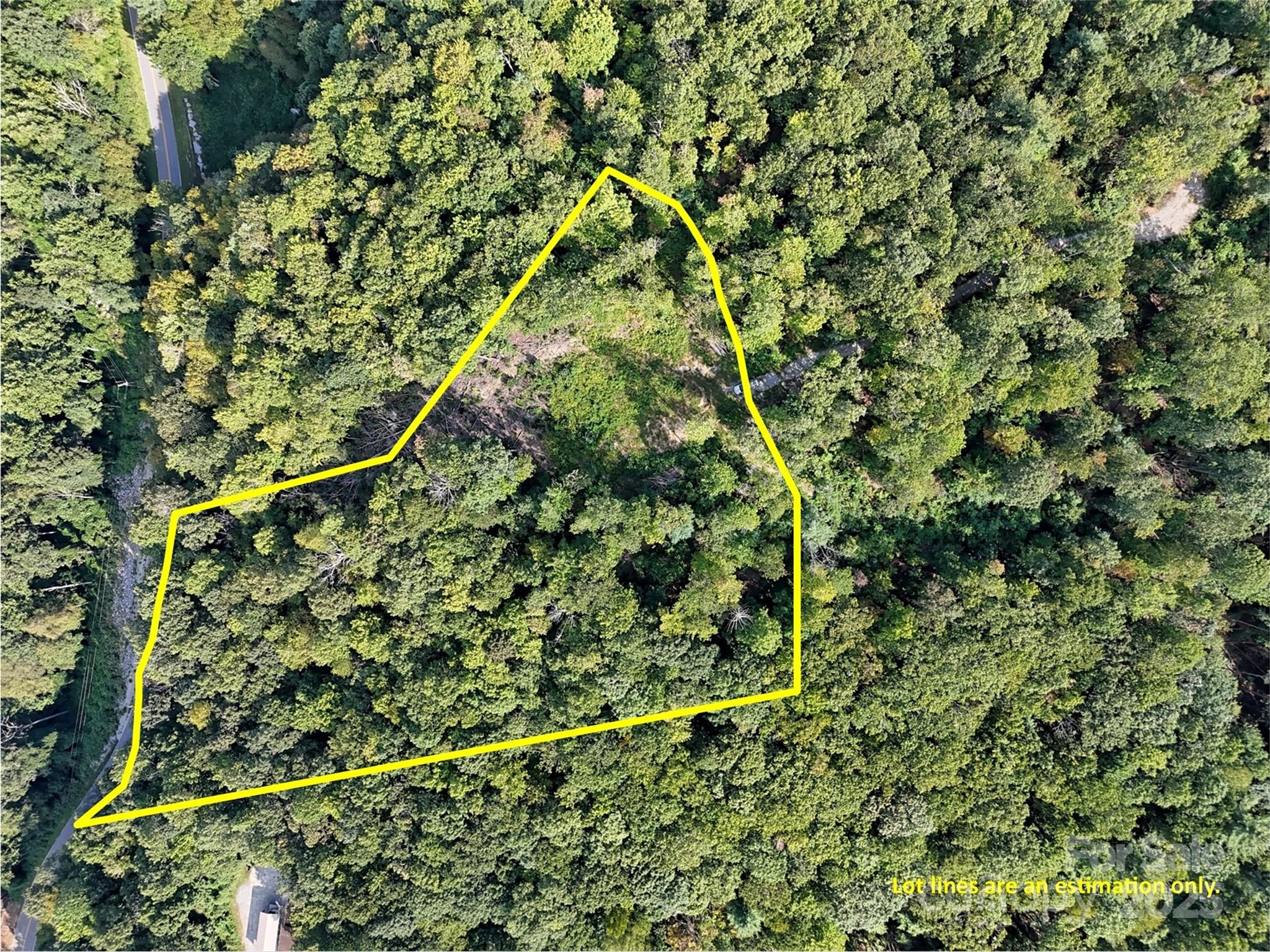 0 Bell Mountain Road Zirconia, NC 28790 - Photo 2 of 19 a picture of a tree