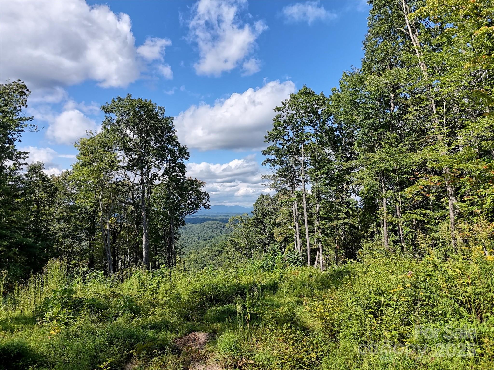 0 Bell Mountain Road Zirconia, NC 28790 - Photo 3 of 19 a view of a bunch of trees