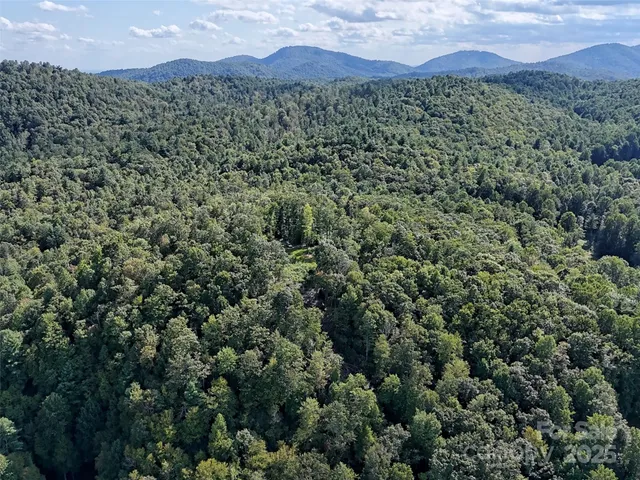 a view of a lot of trees