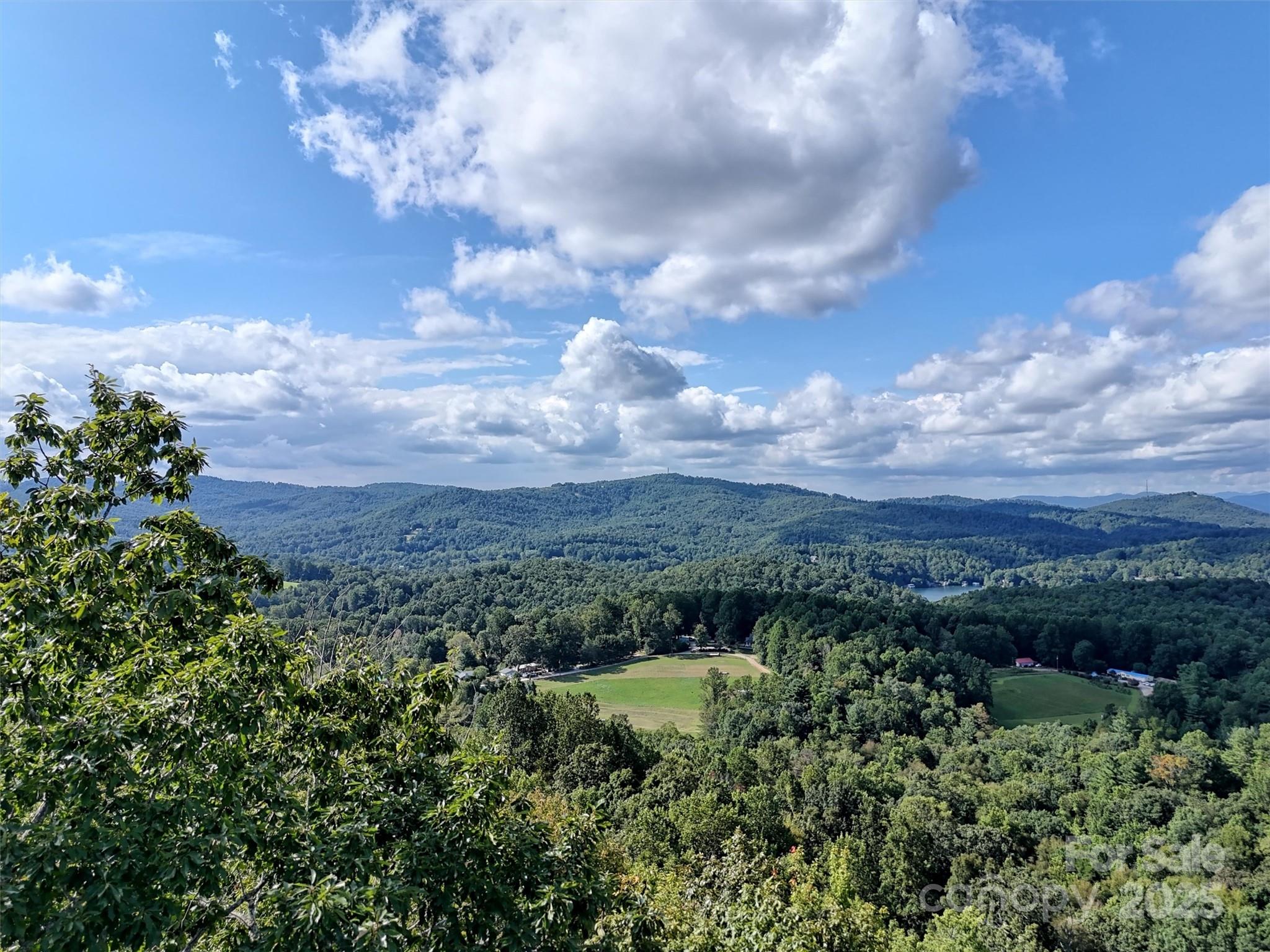 0 Bell Mountain Road Zirconia, NC 28790 - Photo 5 of 19 a view of a lot of trees