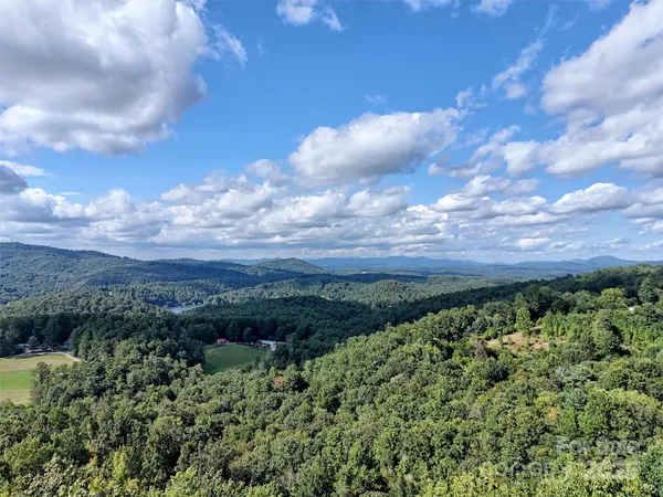 a view of a bunch of trees and bushes