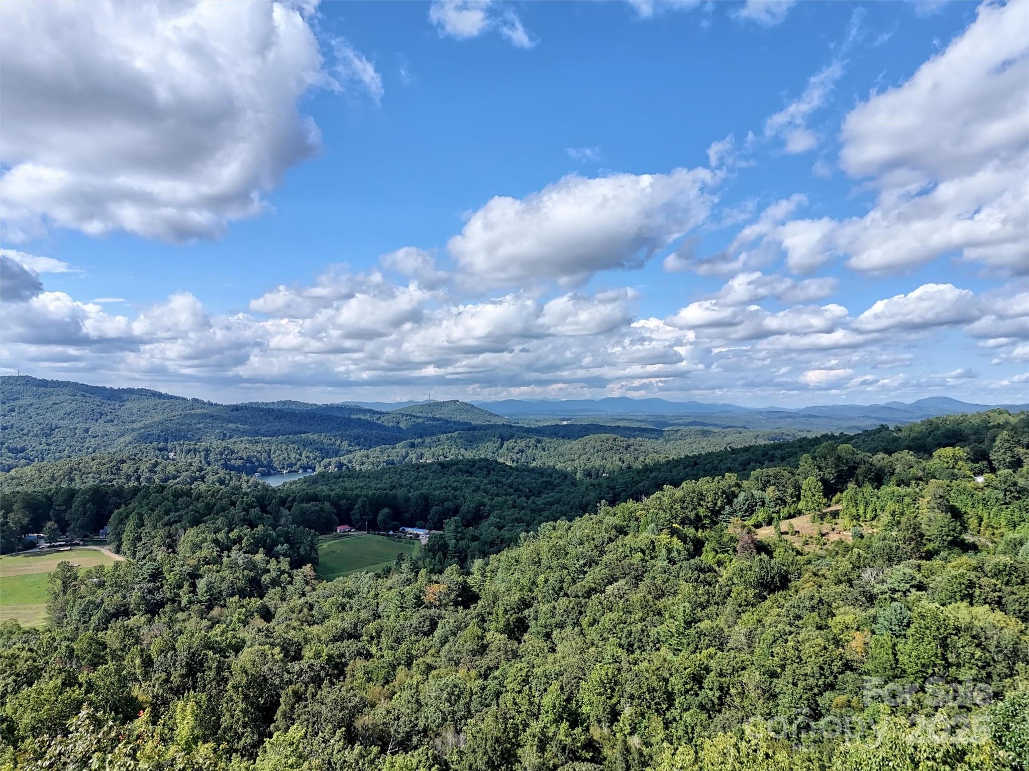 0 Bell Mountain Road Zirconia, NC 28790 - Photo 6 of 19 a view of a bunch of trees