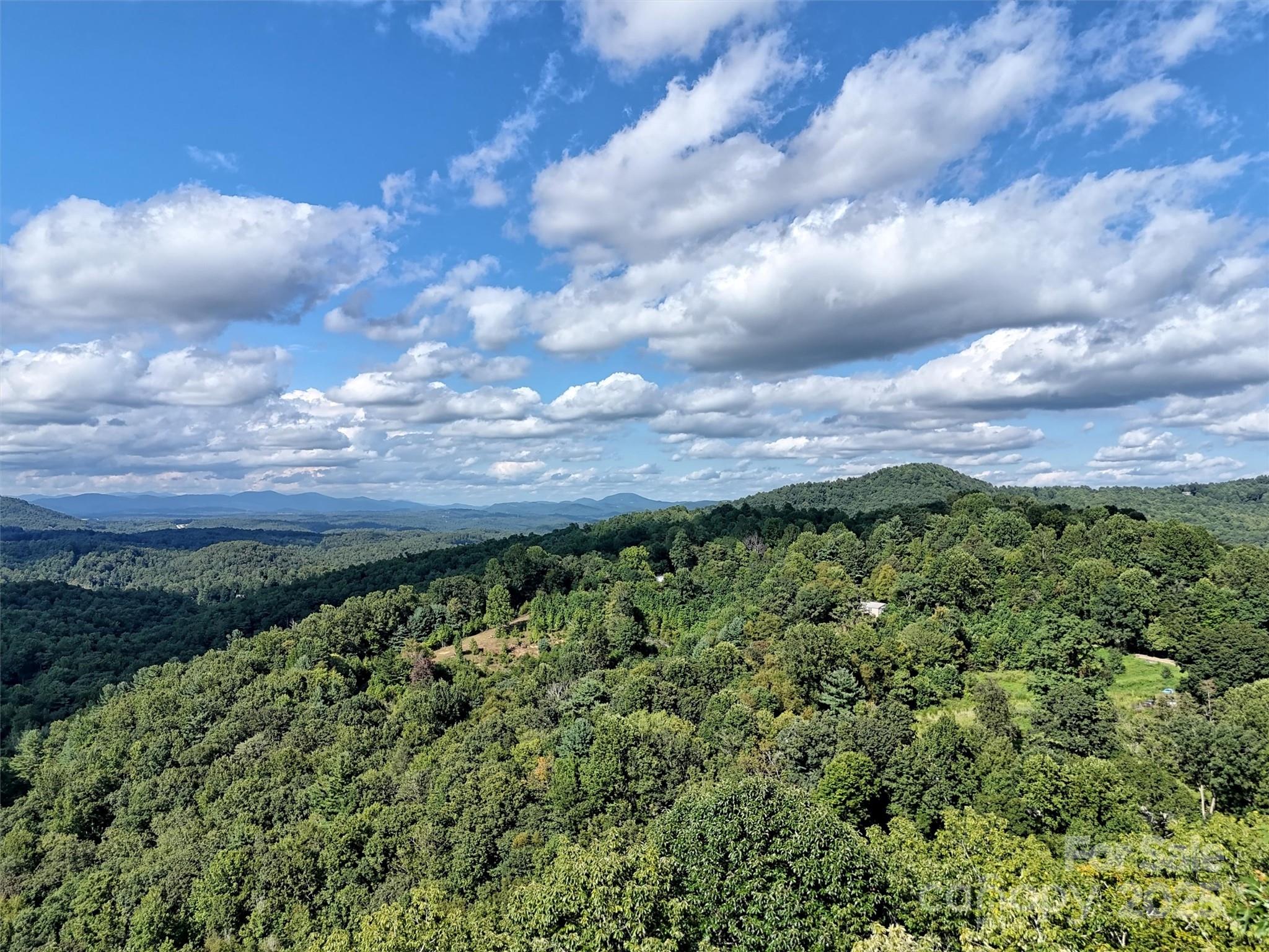 0 Bell Mountain Road Zirconia, NC 28790 - Photo 7 of 19 a view of a bunch of trees and bushes