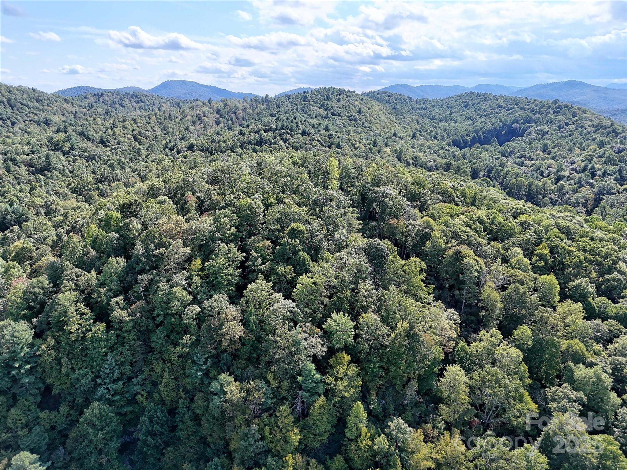 0 Bell Mountain Road Zirconia, NC 28790 - Photo 8 of 19 an aerial view of a houses with a street