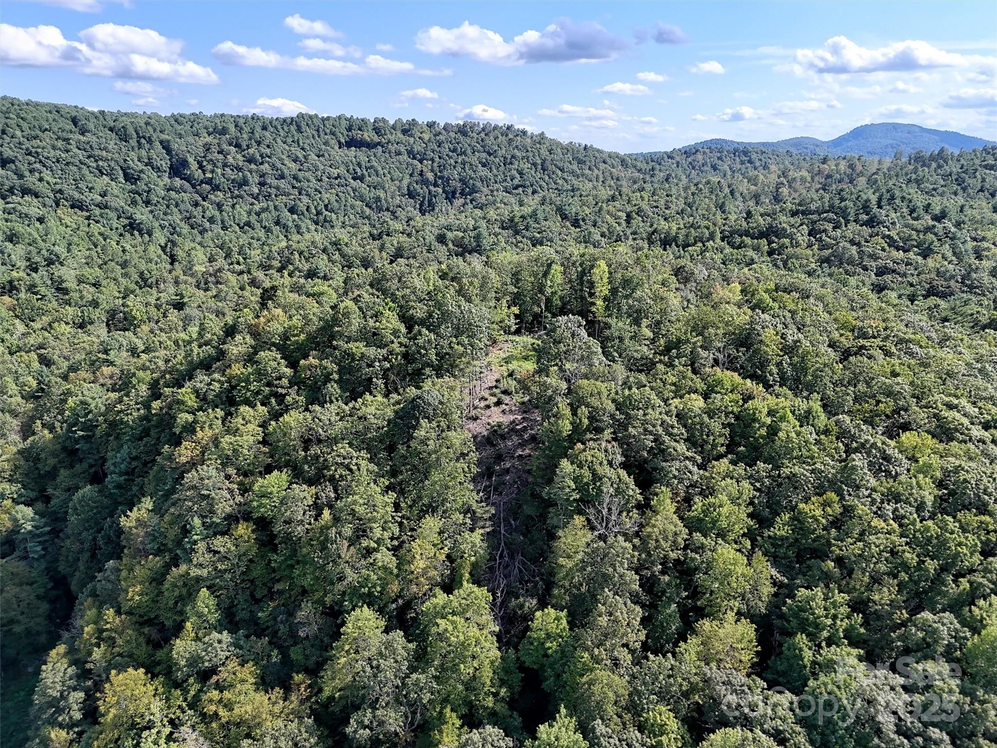0 Bell Mountain Road Zirconia, NC 28790 - Photo 9 of 19 an aerial view of a houses with a yard
